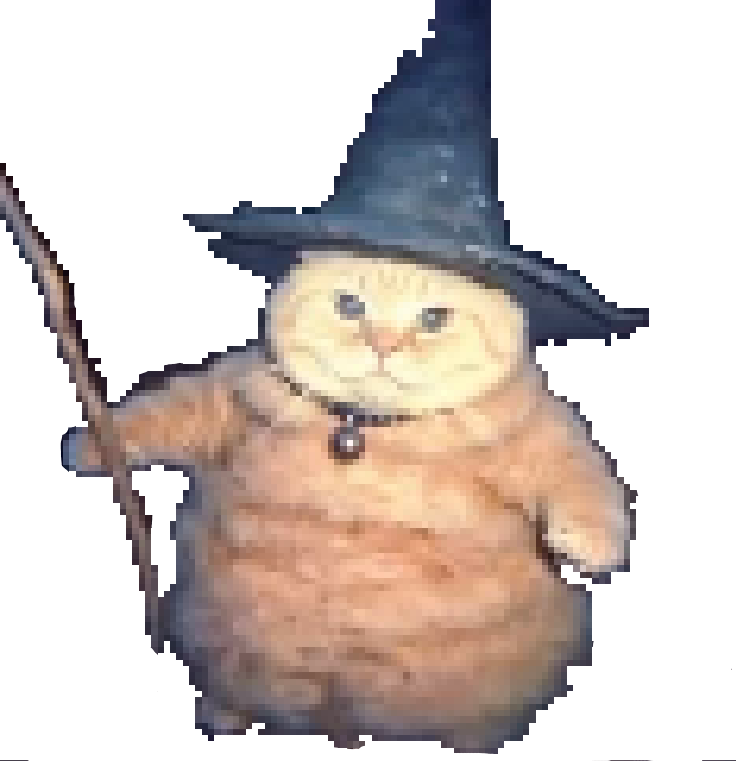 The Archivist's Cat